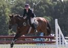 Image 45 in AYLSHAM SHOW 2013. SOME EQUESTRIAN PICTURES