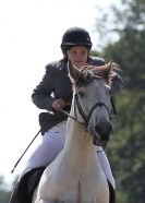 Image 46 in AYLSHAM SHOW 2013. SOME EQUESTRIAN PICTURES