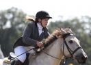 Image 47 in AYLSHAM SHOW 2013. SOME EQUESTRIAN PICTURES