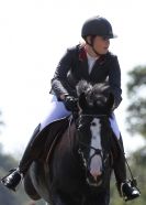 Image 48 in AYLSHAM SHOW 2013. SOME EQUESTRIAN PICTURES