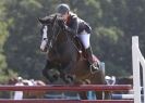 Image 49 in AYLSHAM SHOW 2013. SOME EQUESTRIAN PICTURES