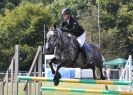 Image 5 in AYLSHAM SHOW 2013. SOME EQUESTRIAN PICTURES