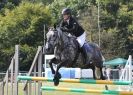 Image 5 in AYLSHAM SHOW 2013. SOME EQUESTRIAN PICTURES