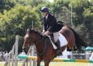 Image 51 in AYLSHAM SHOW 2013. SOME EQUESTRIAN PICTURES