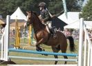 Image 52 in AYLSHAM SHOW 2013. SOME EQUESTRIAN PICTURES