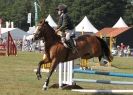 Image 53 in AYLSHAM SHOW 2013. SOME EQUESTRIAN PICTURES