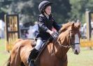 Image 54 in AYLSHAM SHOW 2013. SOME EQUESTRIAN PICTURES