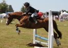 Image 55 in AYLSHAM SHOW 2013. SOME EQUESTRIAN PICTURES