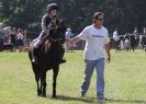 Image 56 in AYLSHAM SHOW 2013. SOME EQUESTRIAN PICTURES