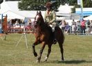 Image 60 in AYLSHAM SHOW 2013. SOME EQUESTRIAN PICTURES