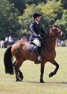 Image 63 in AYLSHAM SHOW 2013. SOME EQUESTRIAN PICTURES