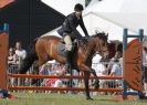 Image 64 in AYLSHAM SHOW 2013. SOME EQUESTRIAN PICTURES