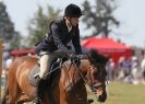 Image 65 in AYLSHAM SHOW 2013. SOME EQUESTRIAN PICTURES