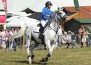 Image 68 in AYLSHAM SHOW 2013. SOME EQUESTRIAN PICTURES