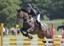 Image 69 in AYLSHAM SHOW 2013. SOME EQUESTRIAN PICTURES