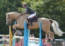 Image 7 in AYLSHAM SHOW 2013. SOME EQUESTRIAN PICTURES