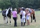 Image 75 in AYLSHAM SHOW 2013. SOME EQUESTRIAN PICTURES