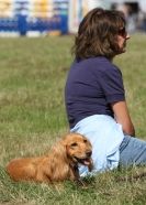 Image 77 in AYLSHAM SHOW 2013. SOME EQUESTRIAN PICTURES