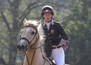 Image 8 in AYLSHAM SHOW 2013. SOME EQUESTRIAN PICTURES