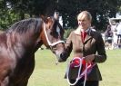 Image 80 in AYLSHAM SHOW 2013. SOME EQUESTRIAN PICTURES