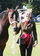 Image 81 in AYLSHAM SHOW 2013. SOME EQUESTRIAN PICTURES