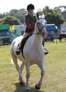 Image 86 in AYLSHAM SHOW 2013. SOME EQUESTRIAN PICTURES