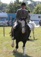 Image 87 in AYLSHAM SHOW 2013. SOME EQUESTRIAN PICTURES