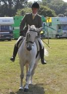 Image 88 in AYLSHAM SHOW 2013. SOME EQUESTRIAN PICTURES