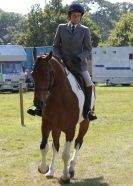 Image 90 in AYLSHAM SHOW 2013. SOME EQUESTRIAN PICTURES