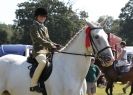 Image 92 in AYLSHAM SHOW 2013. SOME EQUESTRIAN PICTURES