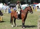 Image 93 in AYLSHAM SHOW 2013. SOME EQUESTRIAN PICTURES