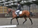 Image 101 in WORLD HORSE WELFARE. DRESSAGE. 7 OCT 2017