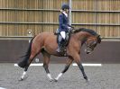 Image 145 in WORLD HORSE WELFARE. DRESSAGE. 7 OCT 2017