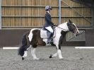 Image 153 in WORLD HORSE WELFARE. DRESSAGE. 7 OCT 2017