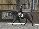 Image 160 in WORLD HORSE WELFARE. DRESSAGE. 7 OCT 2017