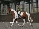 Image 26 in WORLD HORSE WELFARE. DRESSAGE. 7 OCT 2017