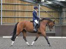 Image 33 in WORLD HORSE WELFARE. DRESSAGE. 7 OCT 2017