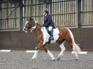 Image 58 in WORLD HORSE WELFARE. DRESSAGE. 7 OCT 2017