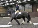 Image 72 in WORLD HORSE WELFARE. DRESSAGE. 7 OCT 2017