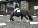 Image 74 in WORLD HORSE WELFARE. DRESSAGE. 7 OCT 2017