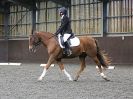 Image 86 in WORLD HORSE WELFARE. DRESSAGE. 7 OCT 2017