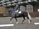 Image 92 in WORLD HORSE WELFARE. DRESSAGE. 7 OCT 2017