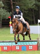 Image 100 in BECCLES AND BUNGAY RC. EVENTER CHALLENGE. 8 OCT 2017