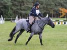 Image 129 in BECCLES AND BUNGAY RC. EVENTER CHALLENGE. 8 OCT 2017