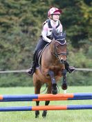 Image 31 in BECCLES AND BUNGAY RC. EVENTER CHALLENGE. 8 OCT 2017