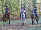 Image 19 in FINN VALLEY RC. RENDLESHAM FOREST PLEASURE RIDE. 15 OCT 2017