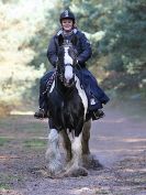 Image 2 in FINN VALLEY RC. RENDLESHAM FOREST PLEASURE RIDE. 15 OCT 2017