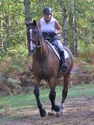 Image 29 in FINN VALLEY RC. RENDLESHAM FOREST PLEASURE RIDE. 15 OCT 2017