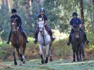 Image 35 in FINN VALLEY RC. RENDLESHAM FOREST PLEASURE RIDE. 15 OCT 2017