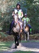 Image 51 in FINN VALLEY RC. RENDLESHAM FOREST PLEASURE RIDE. 15 OCT 2017